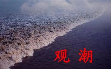 观潮读书心得体会精选7篇
