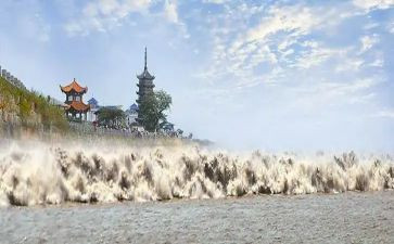 读了观潮的读后感300字优质8篇