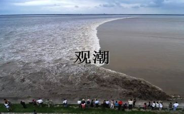 观潮读书心得体会5篇