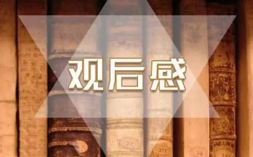 关于战争的观后感5篇