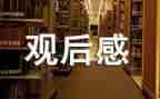 关于猪的电影的观后感最新6篇