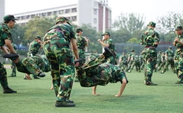 观训心得体会800字6篇