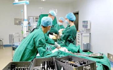 骨科护士长年终个人总结6篇