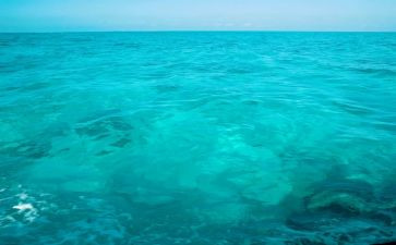 海的坟墓读后感7篇