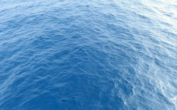 海女读后感模板8篇