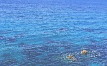 海训个人总结800字参考6篇