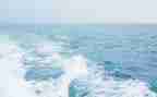 海投简历自我介绍模板6篇