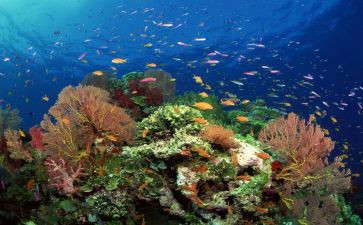 海底两万里读后感400字模板5篇