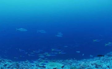 海底捞作文参考7篇