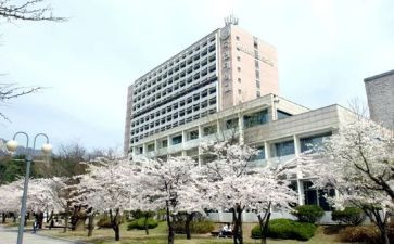 韩国游的作文6篇