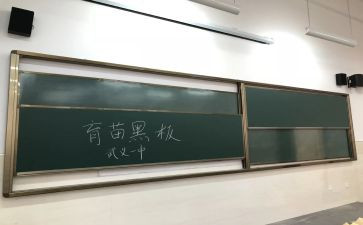 黑板报活动总结6篇