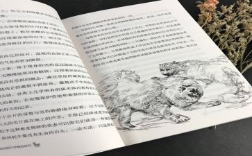 黑焰读后感作文500字通用8篇