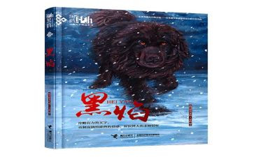 黑焰读后感200字8篇