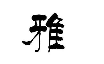 和雅观后感优质5篇