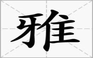 和雅观后感模板5篇