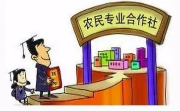 合作社工作总结6篇