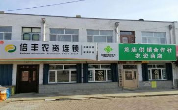 区农民专业合作社工作总结5篇