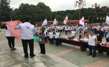 红十字会工作总结5篇