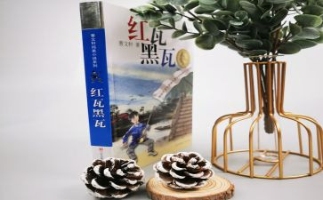红瓦黑瓦读后感600字7篇