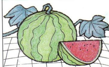 小班语言《画》教案模板6篇