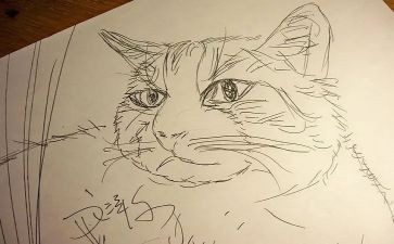 小班语言《画》教案精选5篇