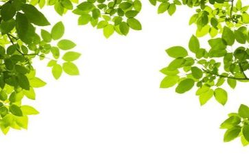 2环保所工作总结推荐5篇