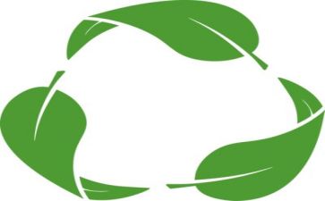 开展环保活动的心得体会7篇