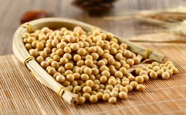 炒黄豆教案7篇