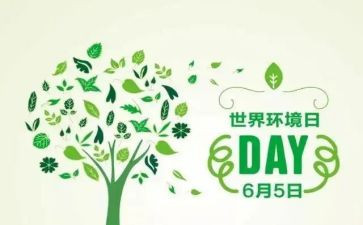 小学环境日宣传活动总结6篇