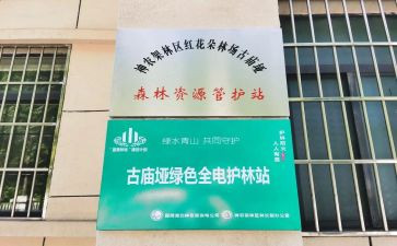 护林站工作计划6篇