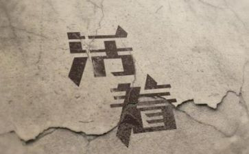 读活着的读后感1000字8篇