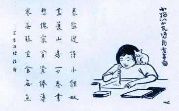 爱护生命演讲稿7篇