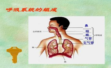 呼吸内科个人总结7篇