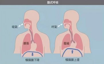 呼吸内自我鉴定7篇