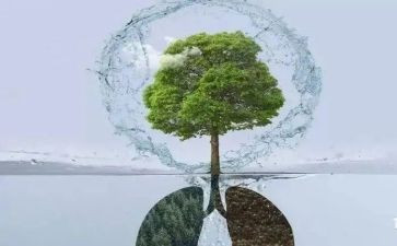 2024年呼吸科医生工作总结5篇