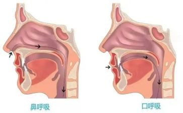 呼吸科护士的工作计划6篇