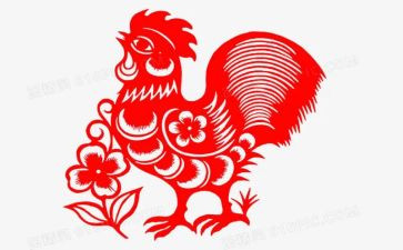 鸡与鹤的读后感通用7篇