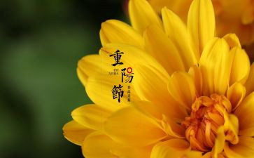 佳节作文500字精选7篇