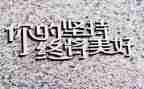 坚持不懈的作文8篇
