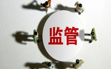监督年度总结5篇