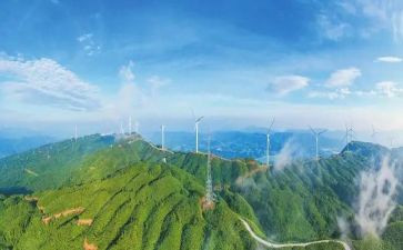 法治政府建设自查报告8篇
