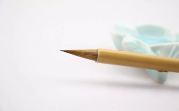 学生检讨书300字5篇