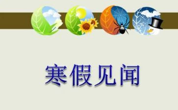 国庆见闻作文600字精选7篇