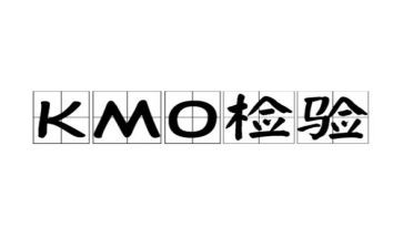 检验个人总结优秀5篇