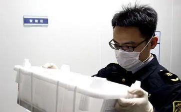 动物检疫员工作总结5篇
