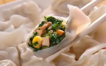 吃饺子的教案8篇