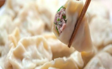 幼儿园饺子宴活动方案通用5篇