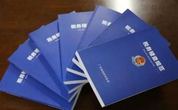 税务稽查工作个人总结6篇