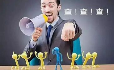稽查员个人总结推荐5篇