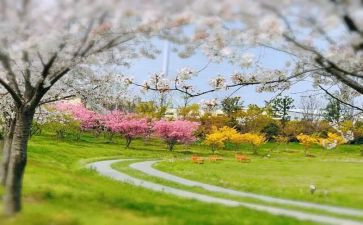 收获季节的作文8篇